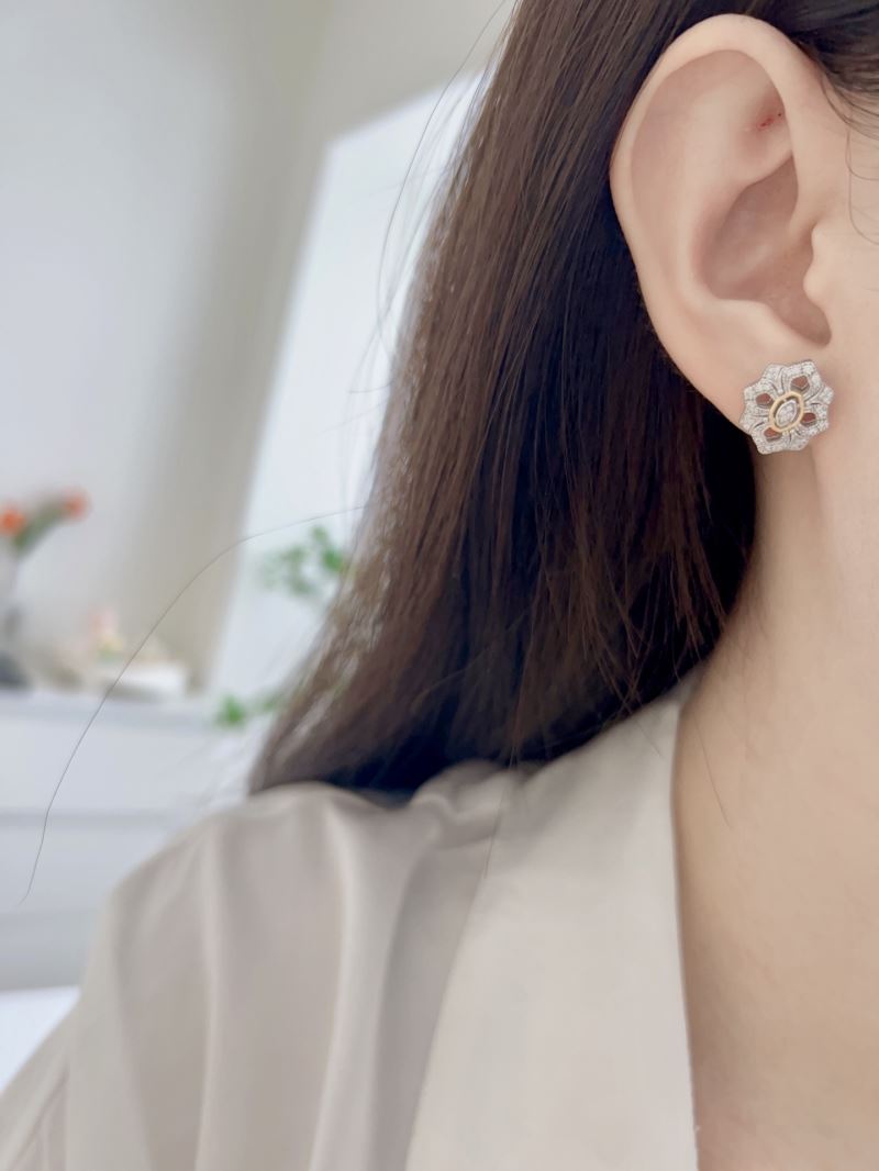 Unclassified Brand Earrings